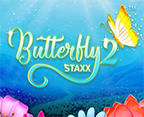 Butterfly Staxx 2